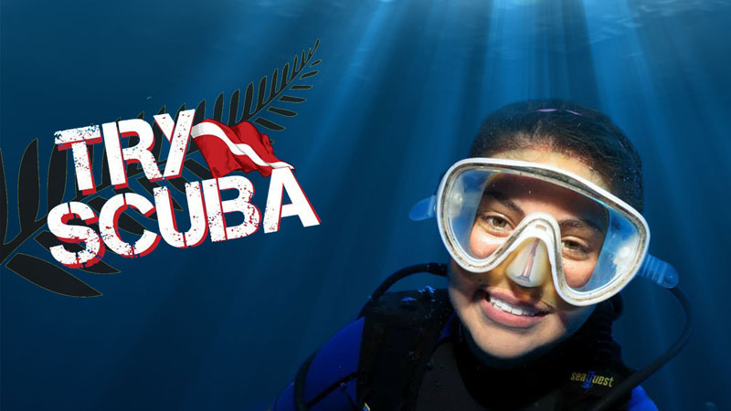 Experience the world of Scuba Diving and experience what it’s like to breath underwater with Dive Jamanta!